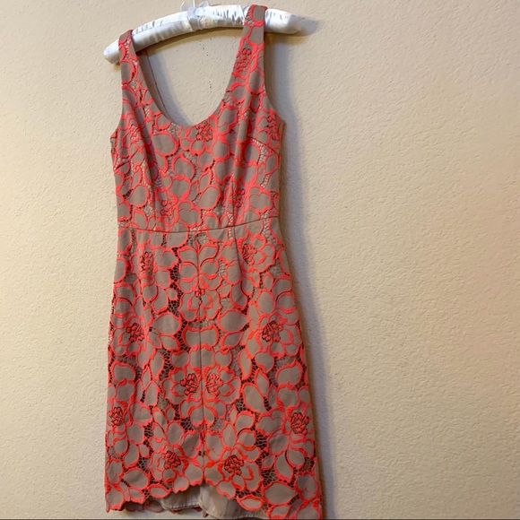Trina Turk Pink Tan Floral lace Sleeveless Dress - Picture 6 of 14